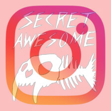 The Secret Awesome sabertooth fish logo behind the Instagram logo.